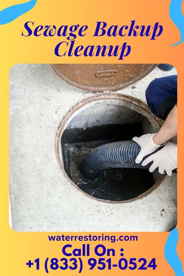 Sewage Backup Cleanup in Oakman, AL